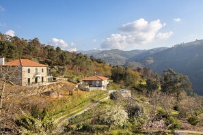 A rural landscape with houses, a stone building, and a vineyard.