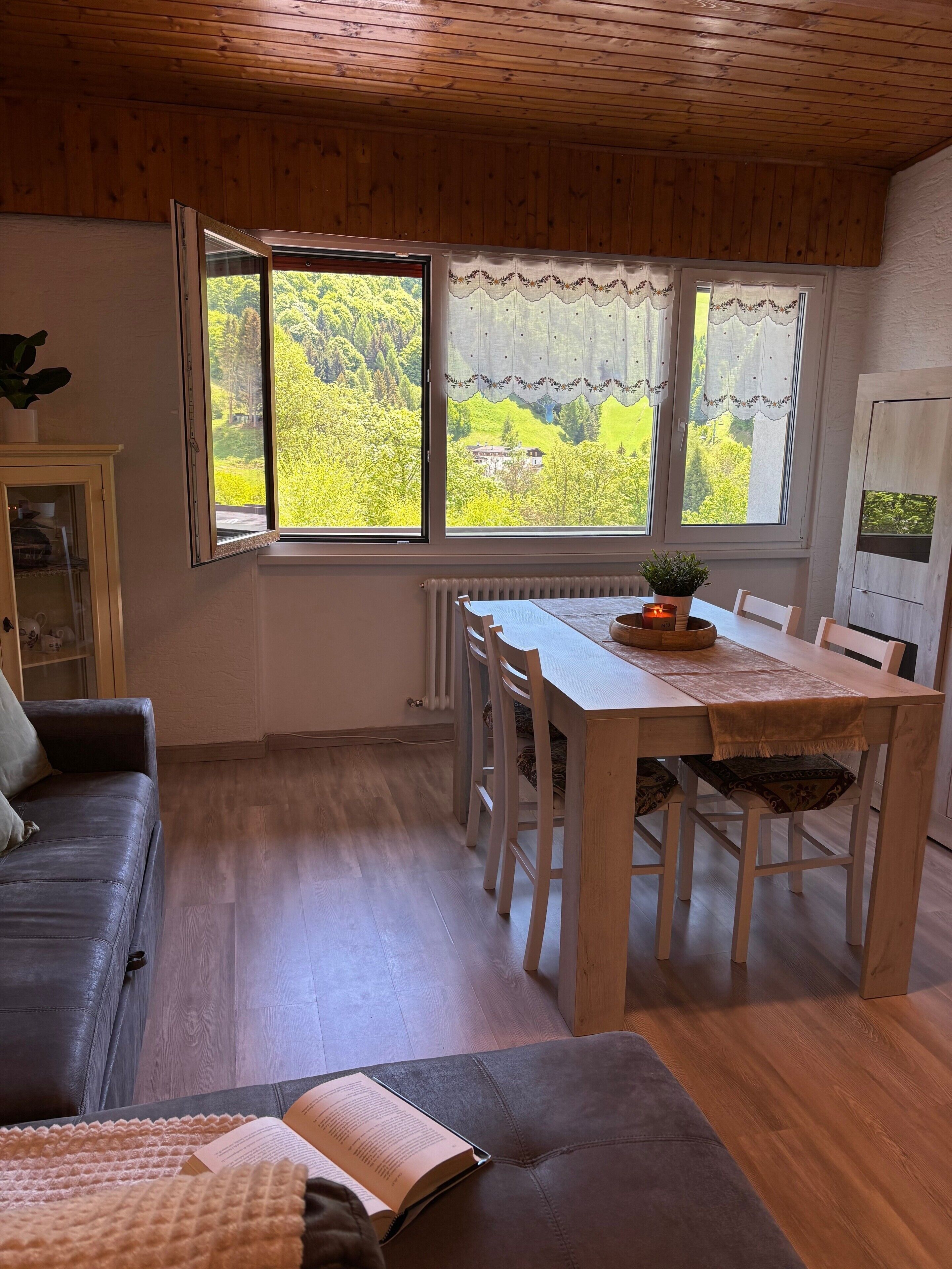 TV, mesa de pingue-pongue