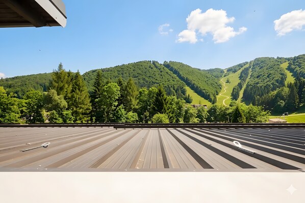 Vista desde la propiedad