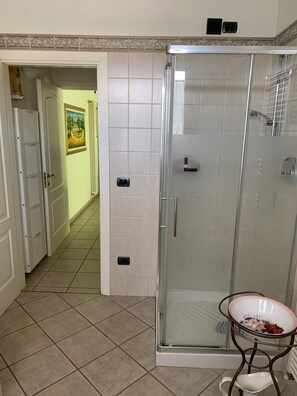 Shower, hair dryer, towels