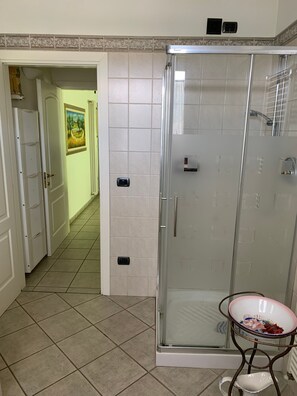 Shower, hair dryer, towels