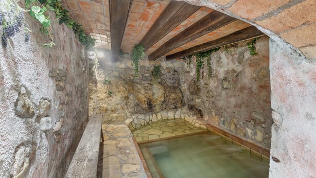 An arched stone structure with a wooden beam ceiling, a stone pool, and greenery growing on the walls. - Chalet 'Can Pavet' with Mountain View, Private Pool and Wi-Fi (Pontons)