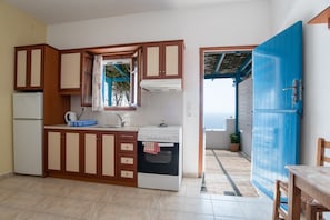 Fridge, oven, stovetop, electric kettle