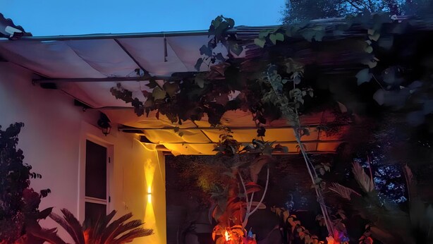 A covered outdoor area with potted plants and a wall-mounted light fixture. - Studio Apartment 'Corfu Oasis' with Mountain View, Wi-Fi and Air Conditioning (Corfu)