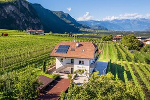 Une maison avec un toit rouge, des panneaux solaires et un vignoble en arrière-plan.