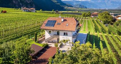 Apartment 'Haus Stolz Gartenblick' with Mountain View, Wi-Fi and Air Conditioning