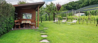 Apartment 'Haus Stolz Wiesenblick' with Mountain View, Wi-Fi and Air Conditioning
