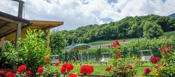 Apartment 'Haus Stolz Wiesenblick' with Mountain View, Wi-Fi and Air Conditioning