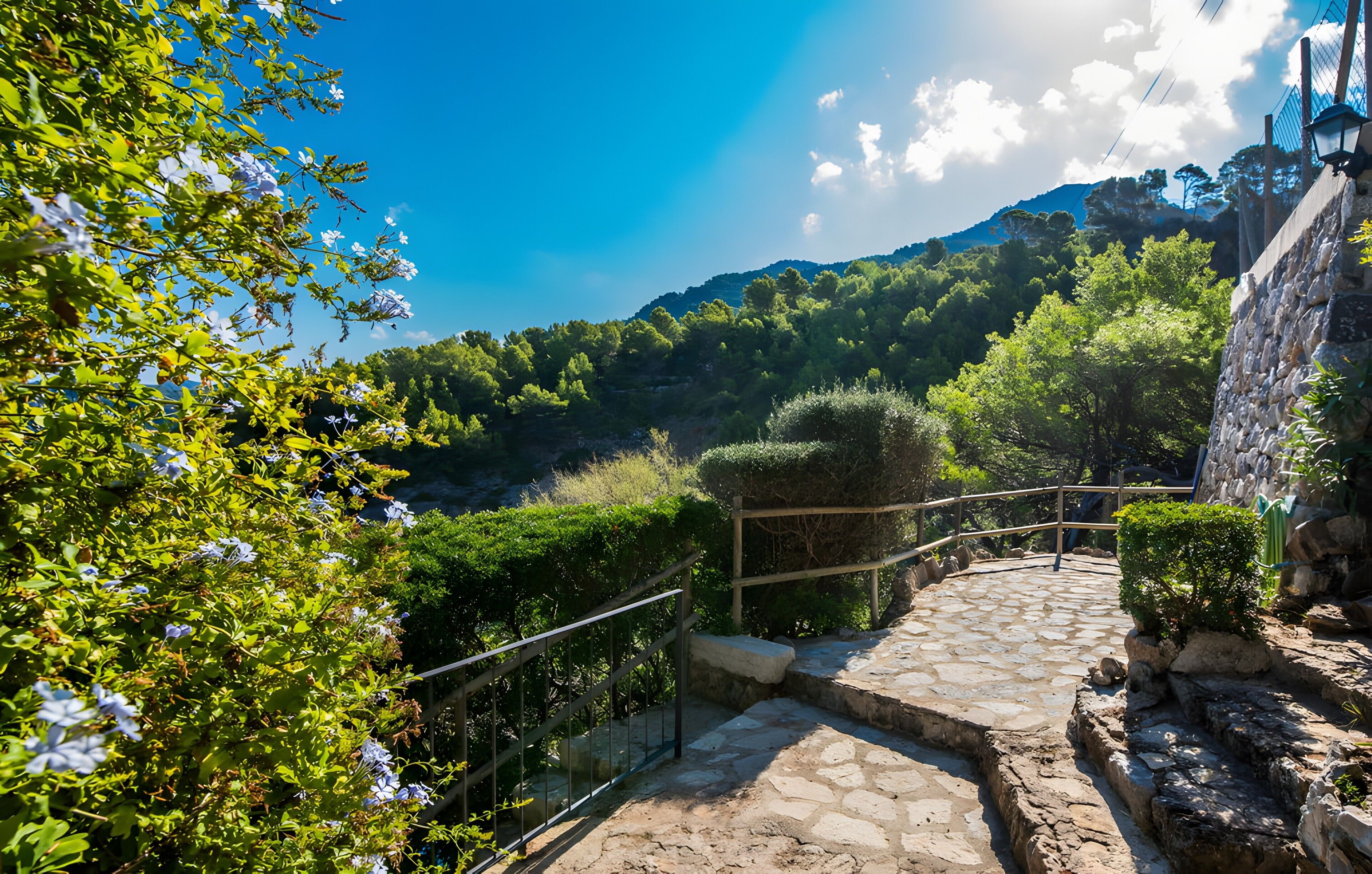 Terrein van de accommodatie