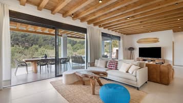 Televisio, takka, pöytätennispöytä