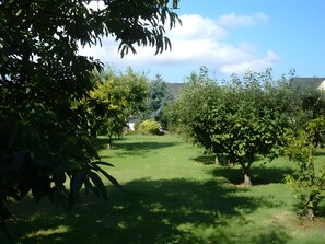 Terrain de lâhĂ©bergement