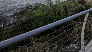 Vista costera con un puerto deportivo, edificios y una valla.