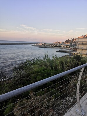 Terrain de l’hébergement 