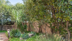 A garden with various plants and a pathway. - Villa 'Morgana' with Private Terrace, Wi-Fi and Air Conditioning (Fontane Bianche)