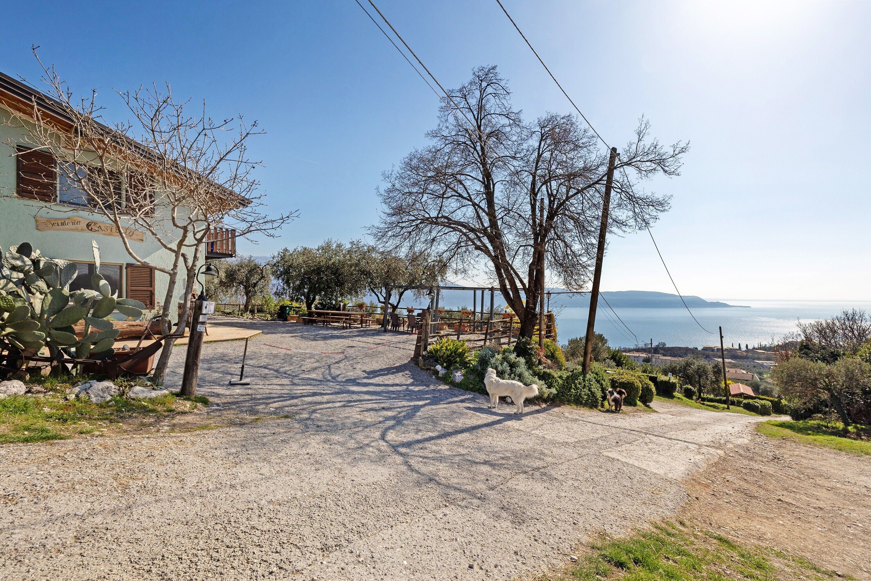 Parco della struttura