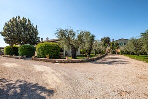 A gravel driveway leading to a building with a stone wall and potted plants.