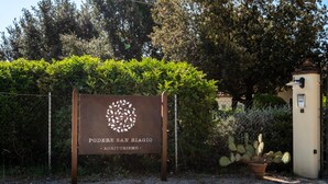 A sign for 'PODER DE SAN BIAGIO AGRITURISMO' with a circular logo, surrounded by greenery and a cactus plant. - Apartment 'Pendolino' with Shared Pool, Wi-Fi and Air Conditioning (Capalbio)
