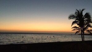 Una spiaggia con la silhouette di una palma sullo sfondo del cielo al tramonto.