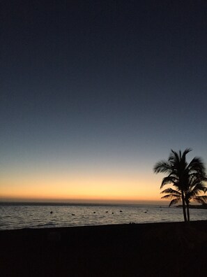 A beach scene with a palm tree silhouette against a sunset sky.
