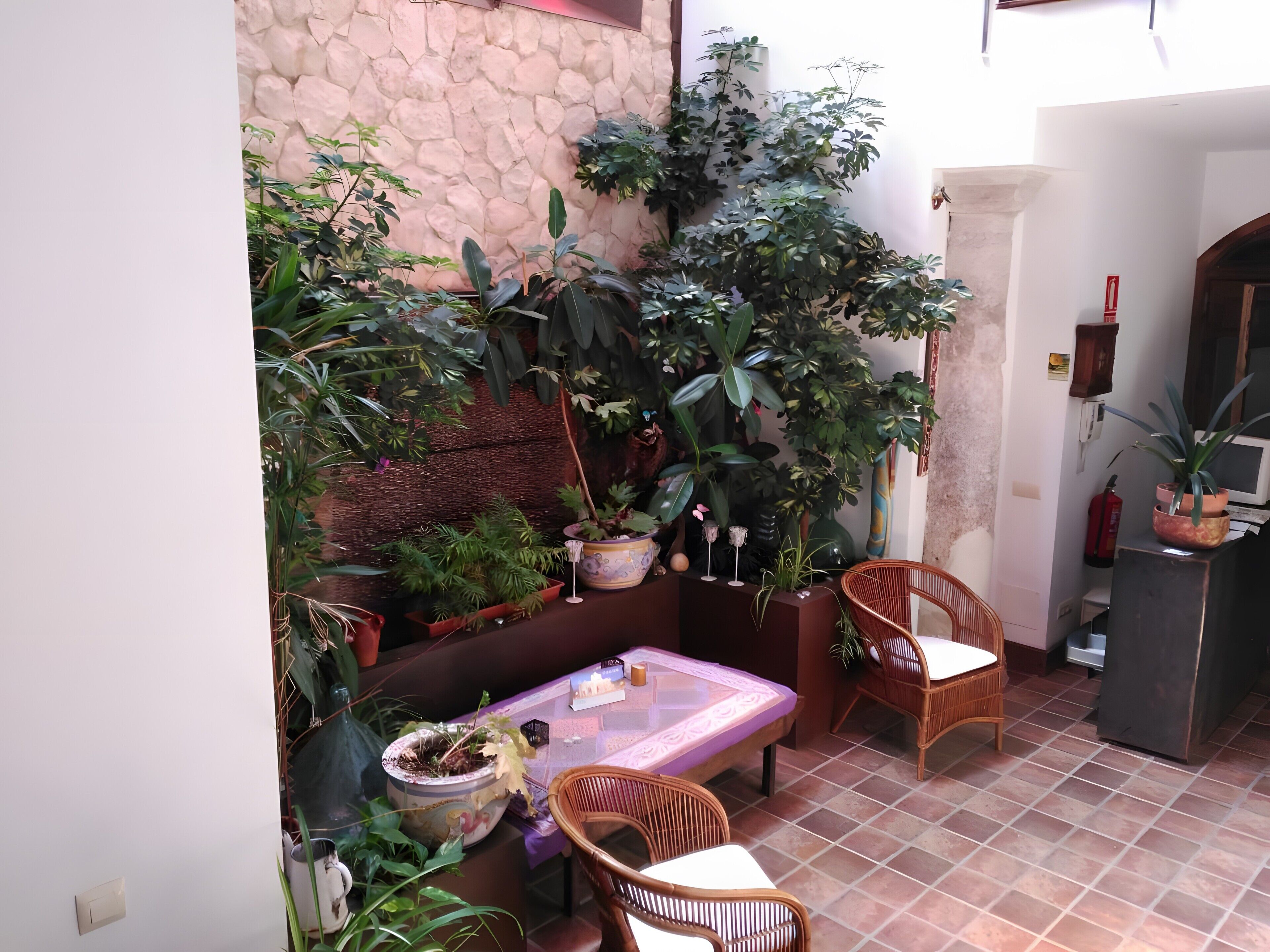 Eine Terrasse mit Tisch und Stühlen, umgeben von verschiedenen Kübelpflanzen und einer Steinmauer.