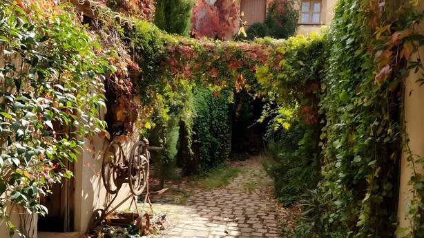 A narrow cobblestone alley with a rustic building on one side, a wooden cart, and dense foliage. - Room 1 with Private Pool - El Sueño De Lucrecia, Toledo (Villarrubia de Santiago)