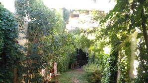 A narrow brick pathway flanked by lush greenery and potted plants.