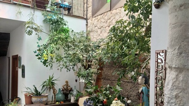 A spacious indoor area with a high ceiling, a stone wall, and a variety of potted plants. There is a seating area with a sofa and chairs, and a small table with books and papers.