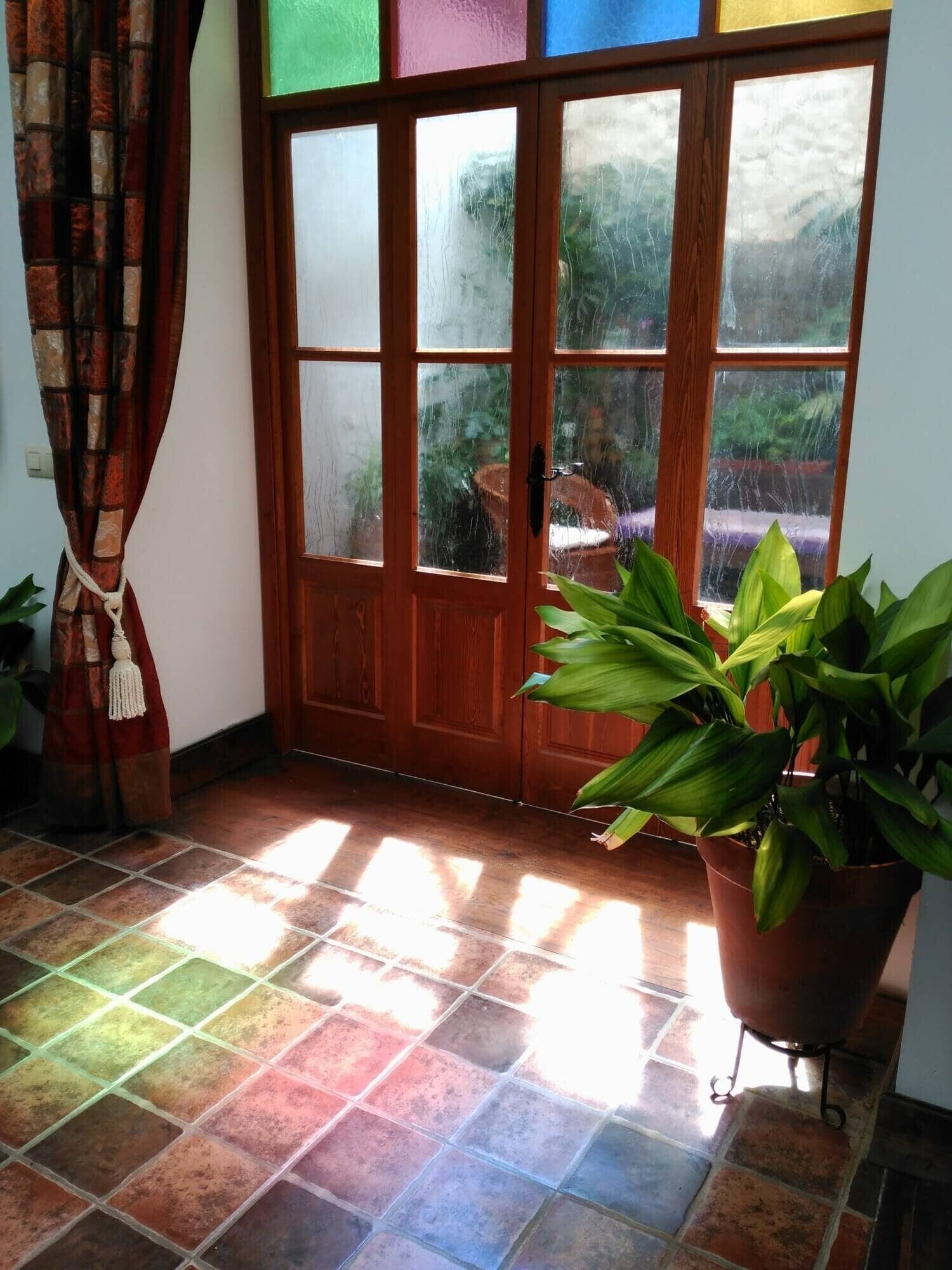 A room with a wooden door, a potted plant, and a tiled floor.