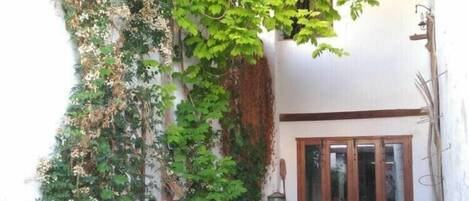 A narrow courtyard with a wooden pergola, potted plants, a stone floor, and a wooden door.
