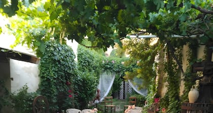 Room 'Habitación 2' with Private Garden, Wi-Fi and Air Conditioning