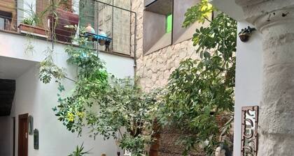 Room 'Habitación 7' with Private Garden, Wi-Fi and Air Conditioning