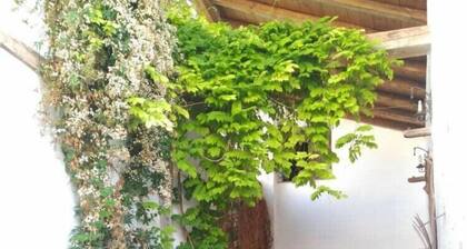 Room 'Habitación 7' with Private Garden, Wi-Fi and Air Conditioning