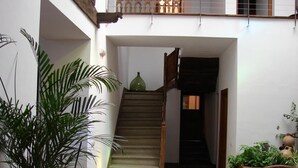 Una escalera conduce a un interior oscuro, rodeada de plantas en macetas y un suelo de baldosas.