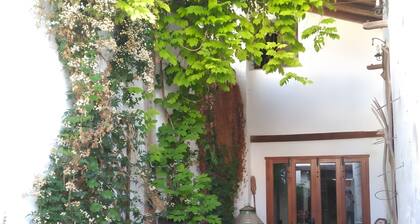 Room 'Habitación 3' with Private Garden, Wi-Fi and Air Conditioning