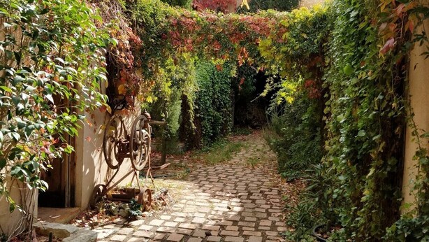 A narrow cobblestone pathway flanked by lush greenery and a traditional building with a tiled roof.