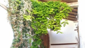 A narrow courtyard with a wooden pergola, potted plants, a stone floor, and a wooden door.