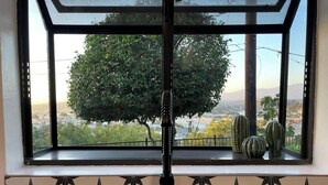 A window with a view of a tree and cacti, a telescope, and patterned tiles.