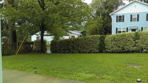 A residential lawn with a hedge, a wooden fence, and a blue house in the background.