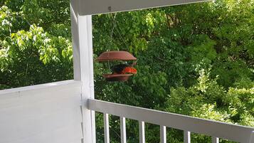 Àrea exterior de l'allotjament