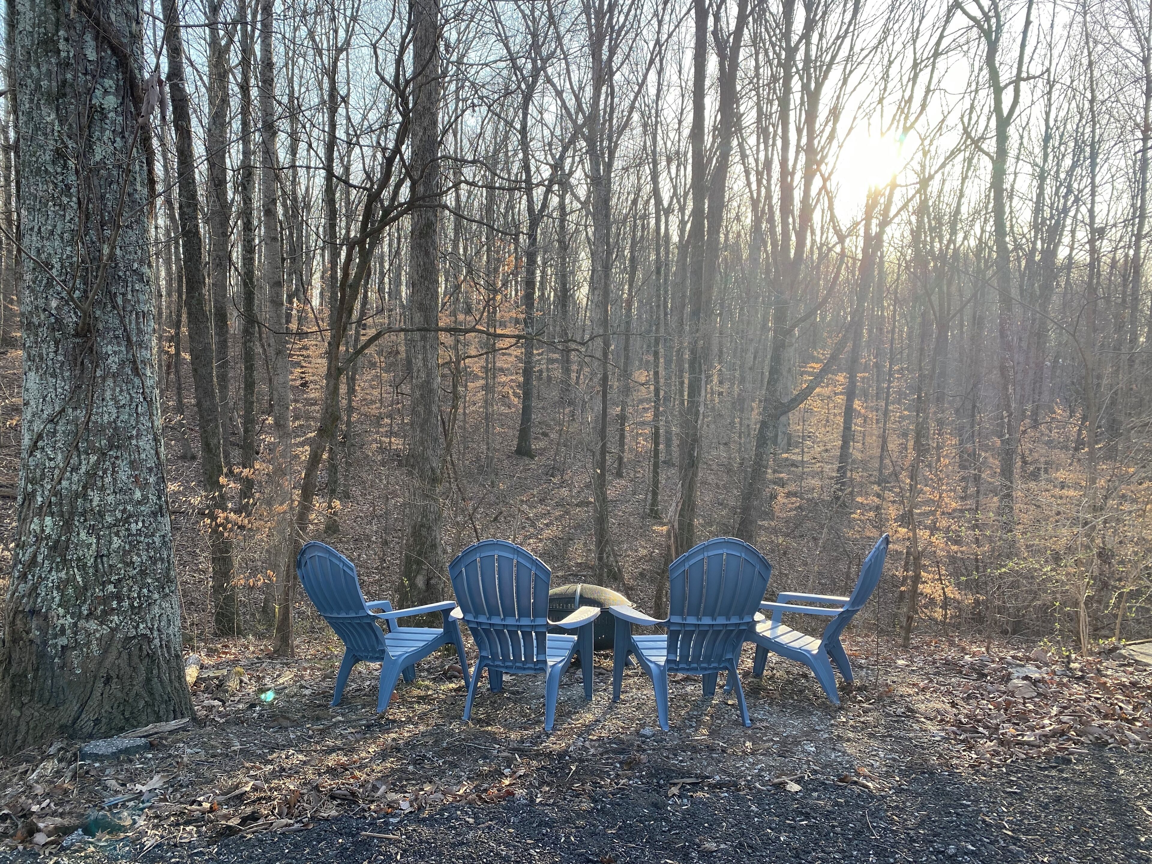 A forest with three blue Adirondack chairs arranged in a circle.