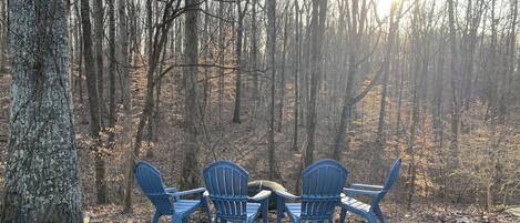 A forest with three blue Adirondack chairs arranged in a circle.