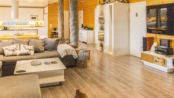 Fernseher, DVD-Player