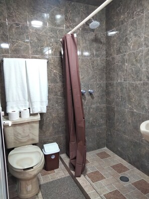 Secadora de cabello, toallas, jabón, papel de baño