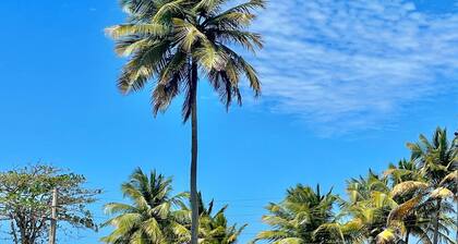 Tropical Beach Oasis: 2 Private Villas, 16+ guests!