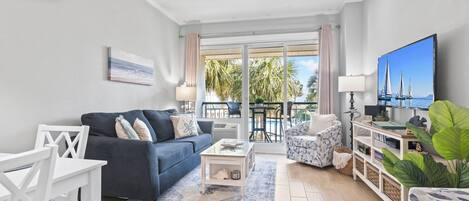 TV, DVD player, books, video library