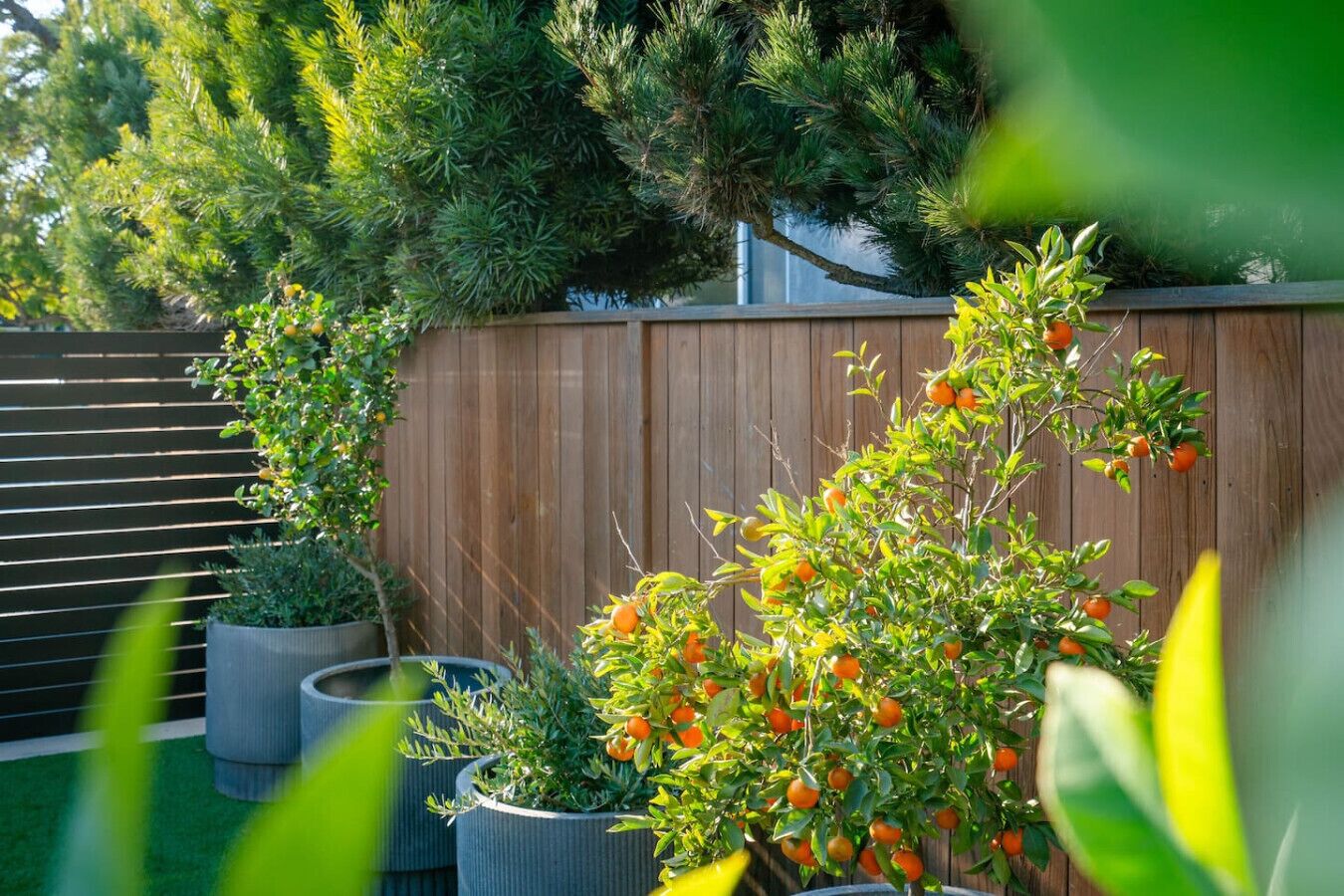 Áreas de la propiedad