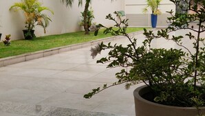 Une cour avec un sol carrelé, des plantes en pot et un palmier.