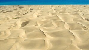 A vast sandy landscape with undulating dunes and a clear blue sky.