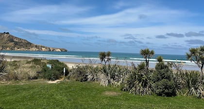 Little Blue in Waikouaiti