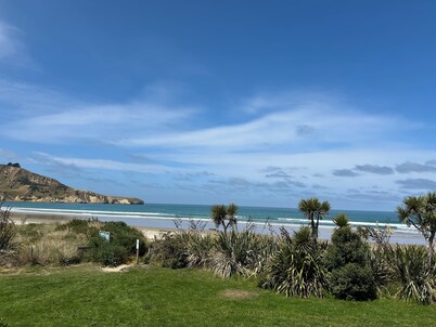 Little Blue in Waikouaiti